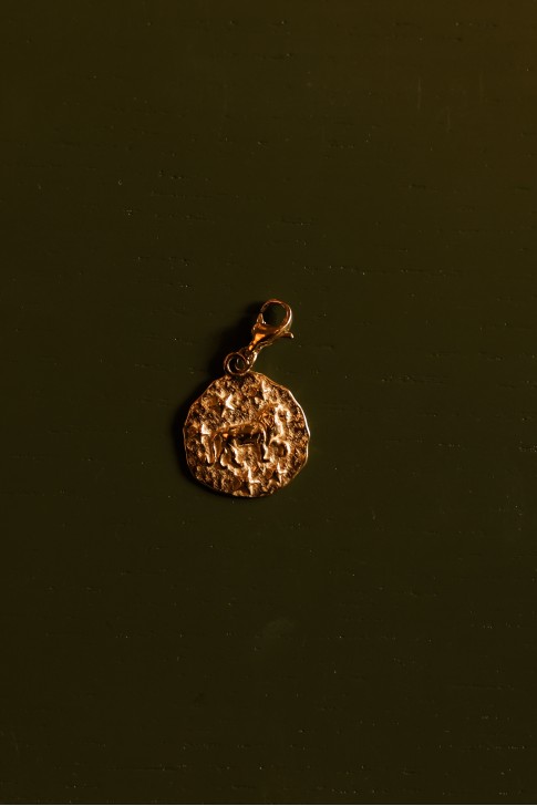 Medaillon Leeuw