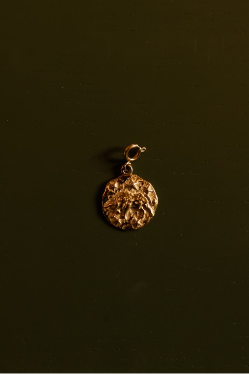 Médaillon Taureau